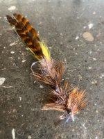 IMG_7355.jpeg