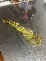 IMG_7356.jpeg