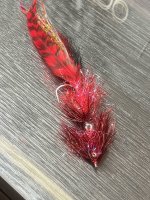 IMG_7357.jpeg