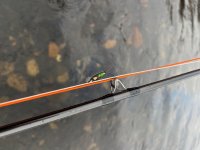 IMG_8681.jpeg