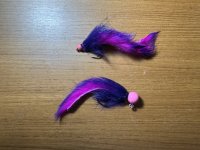 IMG_9658.jpeg IMG_9658.jpeg