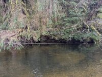 IMG_9698.jpeg IMG_9698.jpeg