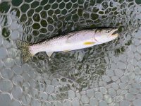 IMG_5188.jpeg IMG_5188.jpeg
