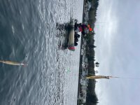 IMG_5236.jpeg