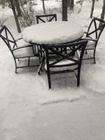 5455C094-D084-4D6B-B02F-069201C8EEED.jpeg 5455C094-D084-4D6B-B02F-069201C8EEED.jpeg
