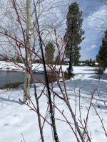 20D72B70-09EF-4928-96A8-D585E927AD46.jpeg