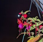 PXL_20220416_070131753.jpg