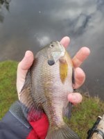 20220408_100214.jpg