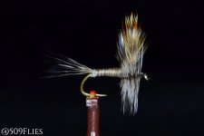 DSC_0134 - edit 1.jpg