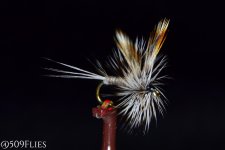 DSC_0136 - edit 1.jpg