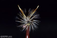 DSC_0137 - edit 1.jpg