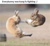 1650222339074.png