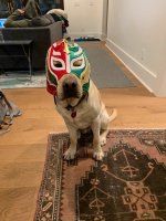 chief wrestler.jpg