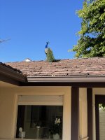 IMG_0947.JPG