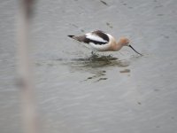 IMG_1683.JPG