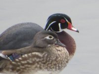 IMG_1688.JPG