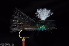 DSC_0153 - edit 1.jpg