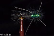 DSC_0154 - edit 1 (1).jpg