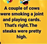 1650634634463.png