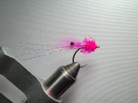 AD1C7EC8-3F04-424C-B82F-5A1BDEA9856A.jpeg