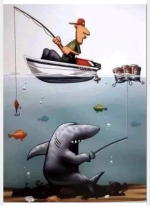 1650800516442.png 1650800516442.png