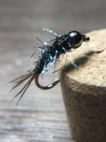 fly1.jpg