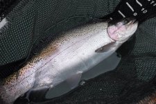 DSCF2364.JPG