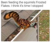 1650915563728.png 1650915563728.png
