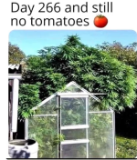 1651060351346.png 1651060351346.png
