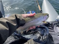 IMG_7129.jpeg