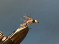 IMG_5491.jpeg