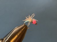 IMG_5494.jpeg
