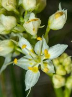 D09DeathCamas_5310037.jpg