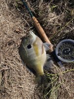 IMG_4020.jpeg