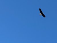 IMG_4758.jpeg