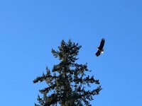 IMG_4759.jpeg