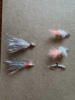 IMG_9767.jpeg IMG_9767.jpeg