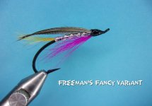 freemans Fancy.jpg
