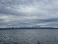 IMG_9776.jpeg