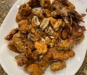IMG_5346.jpeg