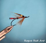 Rogue Red Ant.jpg