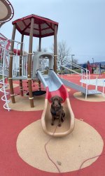 IMG_3673.jpeg