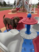 IMG_3675.jpeg