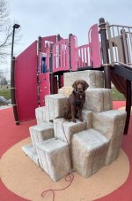 IMG_3678.jpeg