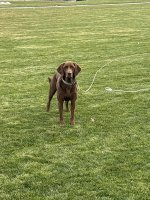IMG_3645.jpeg