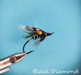 Black Diamond.jpg