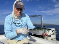 Day3-05 Pacific Bonito jpeg.jpeg