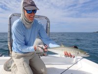 Day3-14 sierra mackerel.jpg