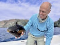 Day3-21 Orangeside Triggerfish jpeg.jpeg