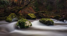 Five Rocks-Small.jpg